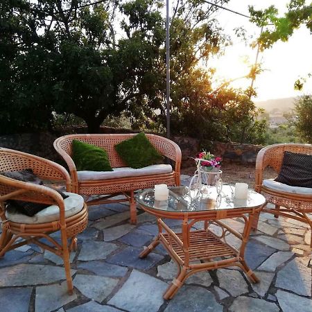 Theasea House With Garden Apartment Riglia Exterior foto