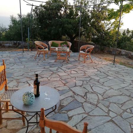 Theasea House With Garden Apartment Riglia Exterior foto